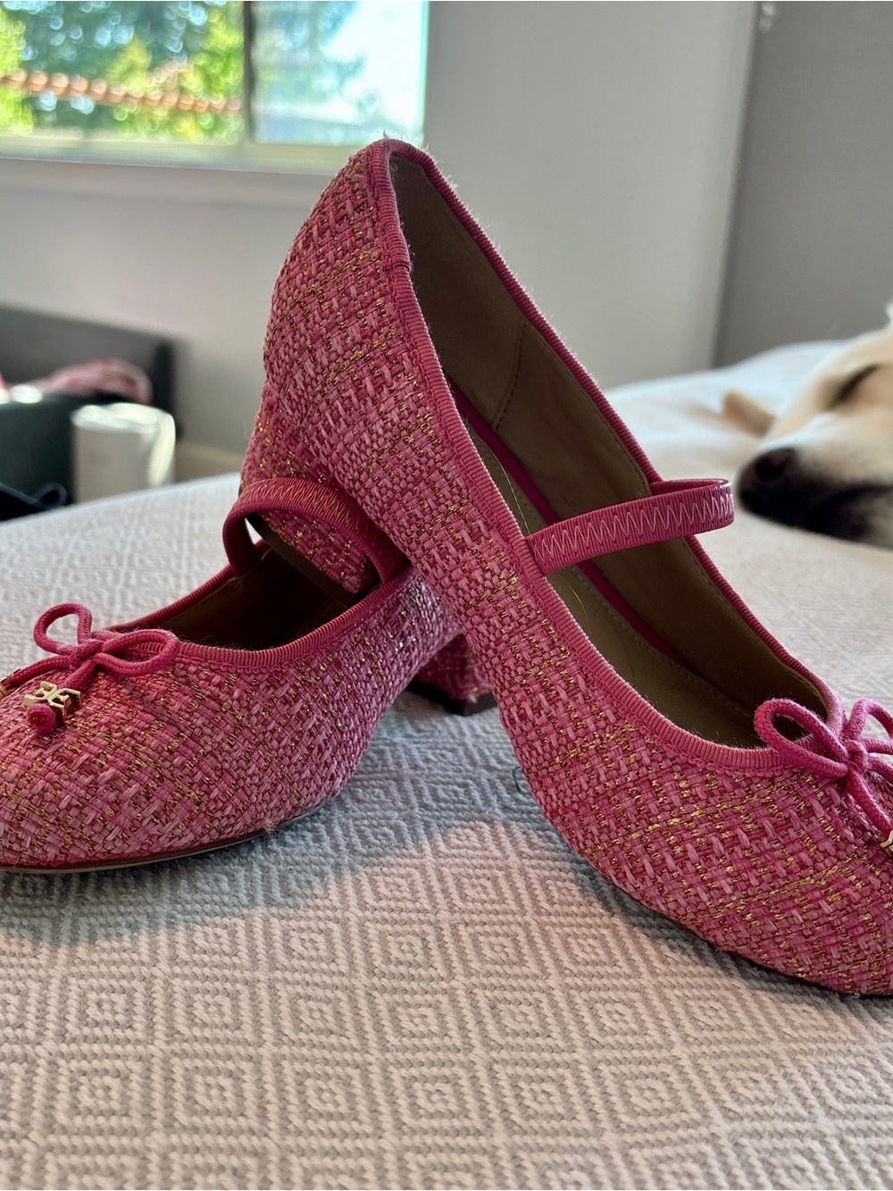 Sam Edelman Pink Tweed Mary Jane Ballet Flats (Kids)